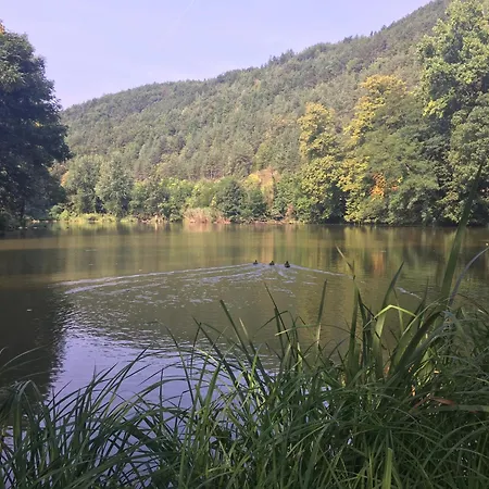 Schlosspark Apartment *