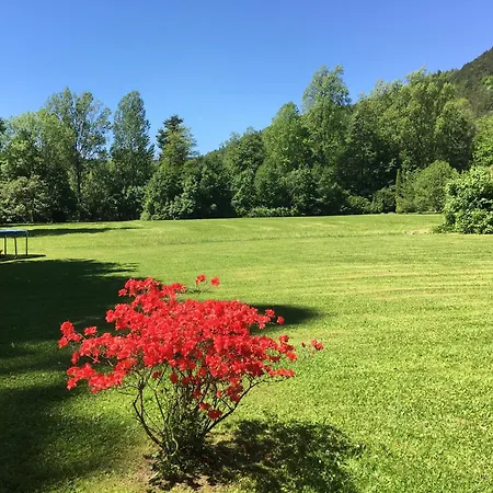 Schlosspark *